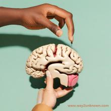 Pick your brain