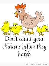 Don't Count Your Chickens before they hatch 