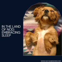 To be in the land of nod 