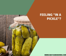 In a Pickle